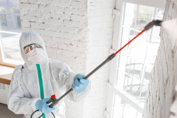 Best Forensic Mold Investigation  in Ogdensburg, NJ